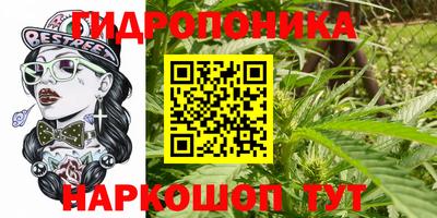 Альфа ПВП Новозыбков
