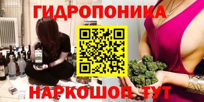 герыч Новодвинск