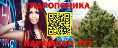 ГАЛЛЮЦИНОГЕННЫЕ ГРИБЫ Обнинск