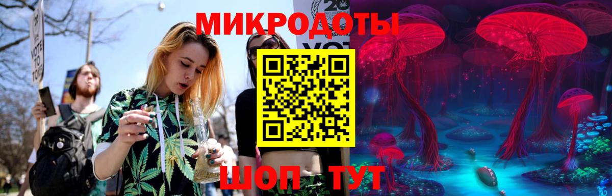 Псилоцибиновые грибы мицелий Стрежевой